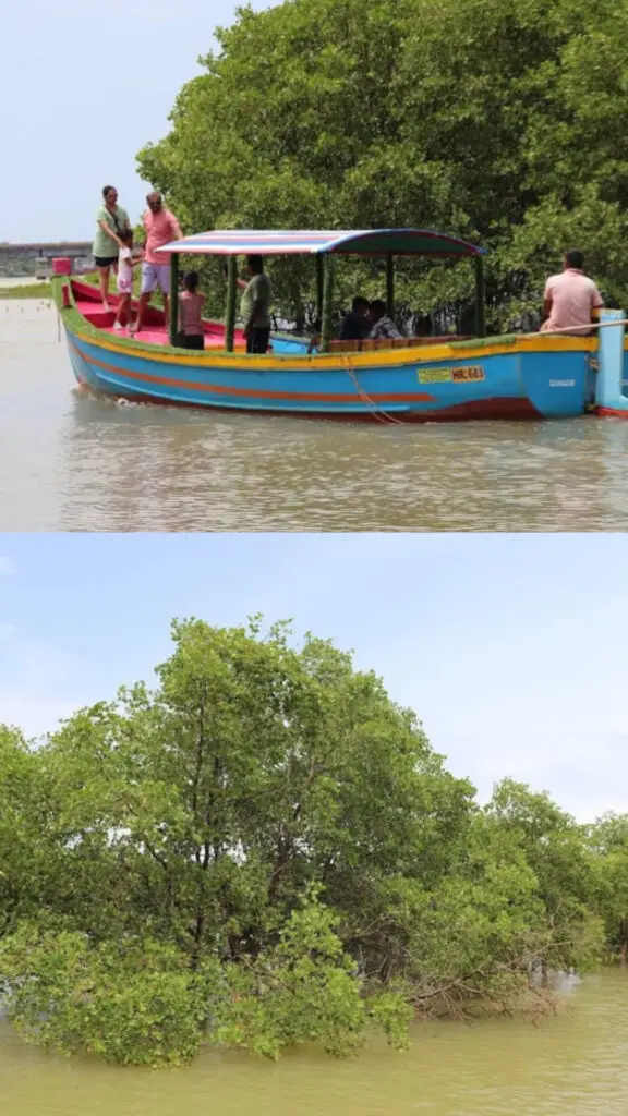 kasarkod mangrove backwater boating honnavar