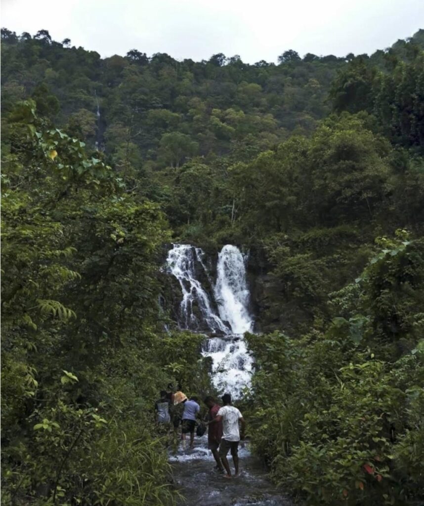 Bangara Kusuma Falls Honavar