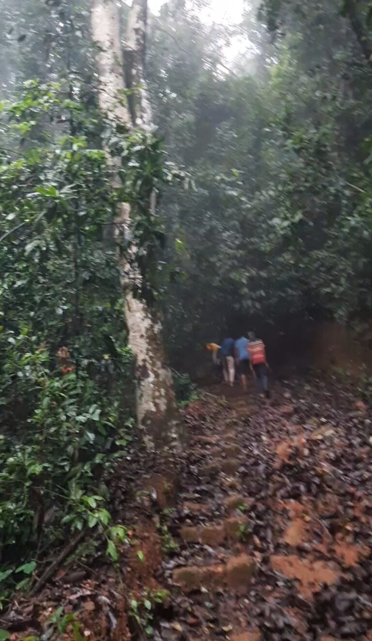 Honavar Jungle Trekking at Karikannama Hilltop Forest